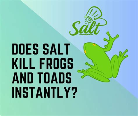 Pouring Salt on a Frog [Repel, Kill Fogs with Salt] PestWeek