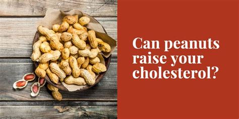 Do Salted Peanuts Raise Cholesterol