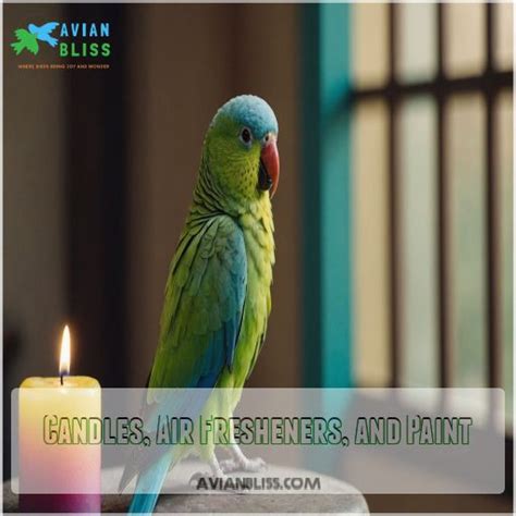 Do Scented Candles Kill Parakeets