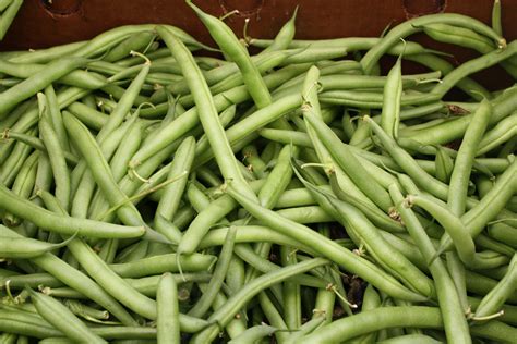 Do String Beans Have Protein In Them