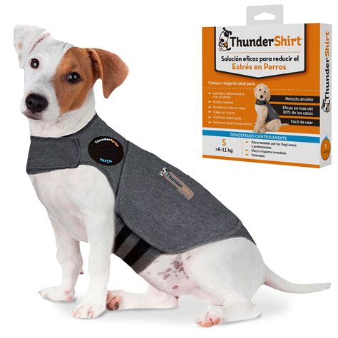 Do Thundershirts Help With Anxiety