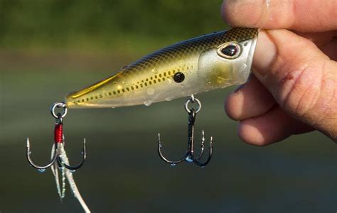 Do Topwater Lures Float