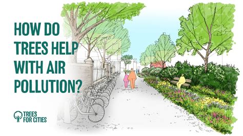 Do Trees Help Air Pollution
