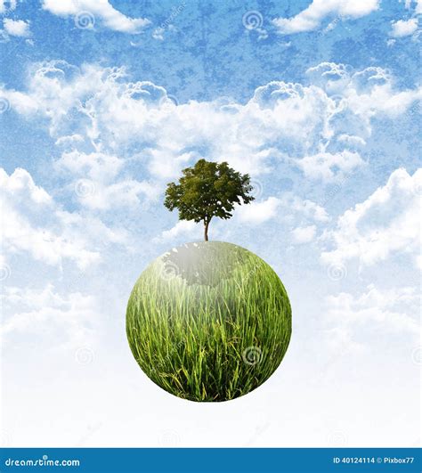 Do Trees Stop Global Warming