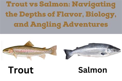 Do Trout And Salmon Taste The Same