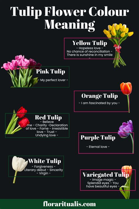 Do Tulips Mean Anything