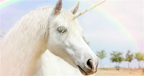 Do Unicorns Are Real