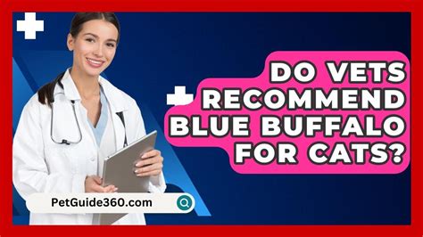 Do Vets Recommend Blue Buffalo