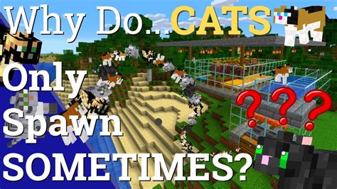 Do Villagers Spawn Cats