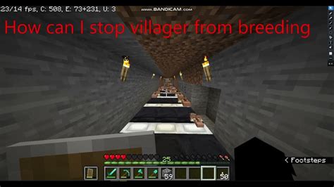 Do Villagers Stop Breeding