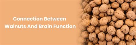 Do Walnuts Improve Brain Function