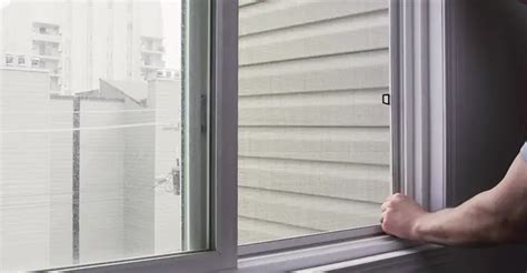 Do Windows Need Screens