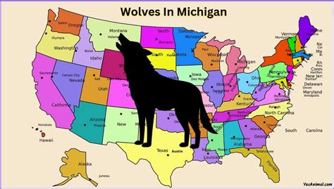 do wolves live in michigan