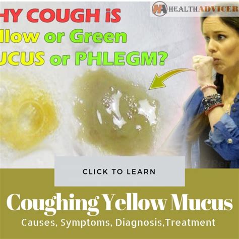 do you cough up phlegm with flu