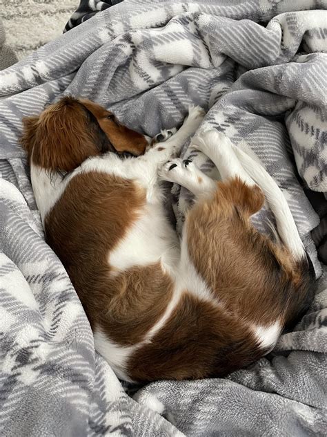 Do You Get To Keep The Blankets In First Class