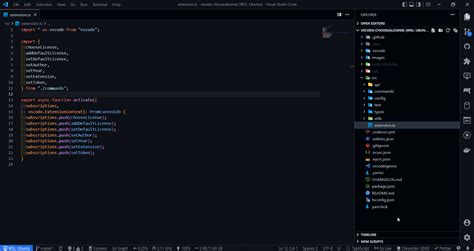 do you need a license for visual studio code