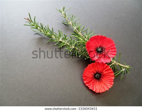 do you wear a poppy or rosemary on anzac day