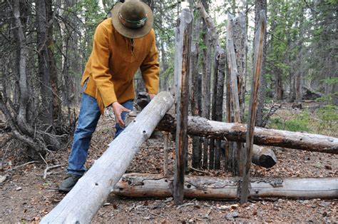 Do deadfall traps work?