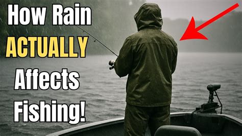 Do fish bite when its raining?