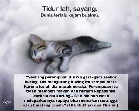 Doa Untuk Kucing Yang Sedang Sakit » 2021 Ramadhan