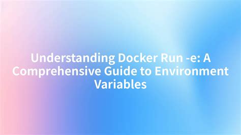docker run environment variables example