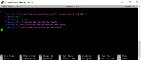 docker settings json example