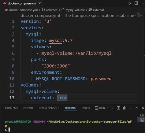 docker-compose volume examples