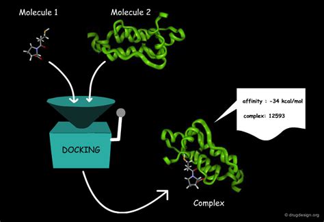 Docking Computational Method