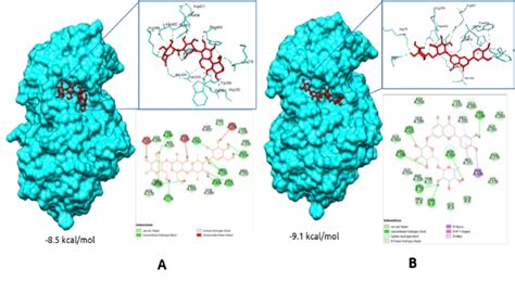Docking Visualization
