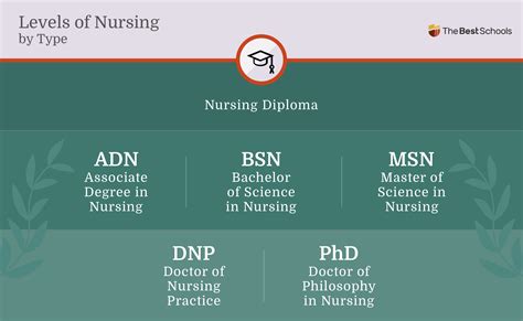 doctorates degree in nursing