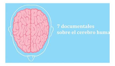 El Cerebro, Más Allá De La Mente (Documental Discovery Channel Latino