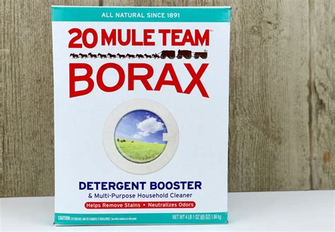 How Does Borax Kill Ants Offers Cheap, Save 65 jlcatj.gob.mx