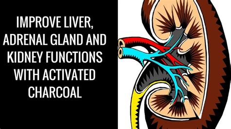 Activated charcoal Improve liver, adrenal gland & kidney functions