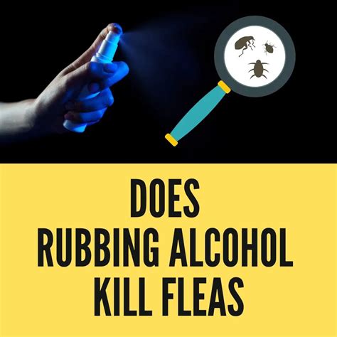 Will Alcohol Kill Nail Fungus