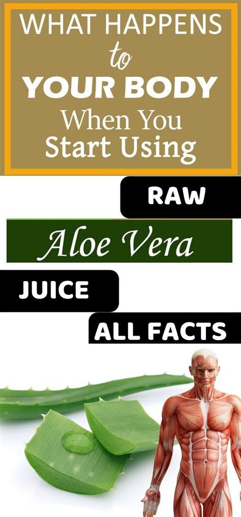 Aloe Vera Juice Malaysia / ALO Exposed Aloe Vera Pulp & Juice 12 x 16.9