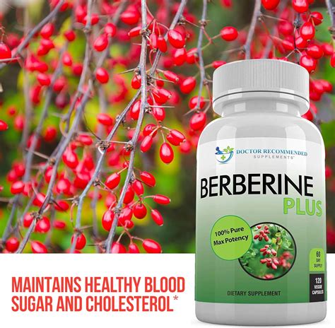does berberine help with weight loss