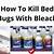 does bleach kill bed bugs