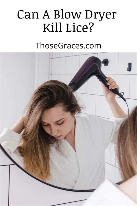 does a hair dryer kill lice kostichxavier