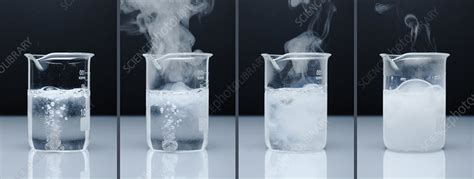 Calcium Reacting With Water Photograph by Trevor Clifford Photography