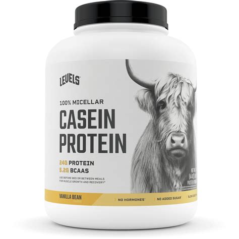 Legion Casein+ Chocolate Pure Micellar Casein Protein Powder NonGMO