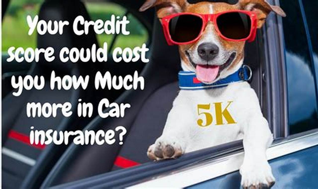 does credit score affect car insurance