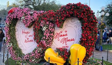 Does Disneyland Decorate For Valentine's Day Month Decor At