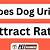 does dog urine attract rats