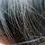does hair dye kill lice