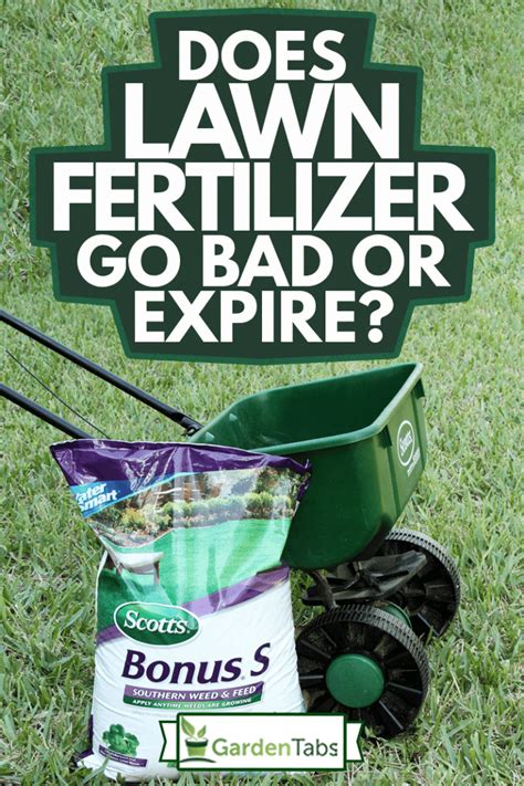 When and How Often to Fertilize Your Lawn
