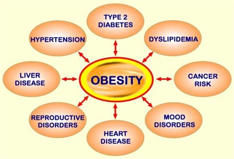 does obesity cause diabetes
