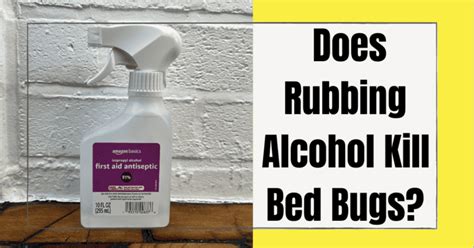 Does Rubbing Alcohol Kill Bed Bugs? The Pest Informer