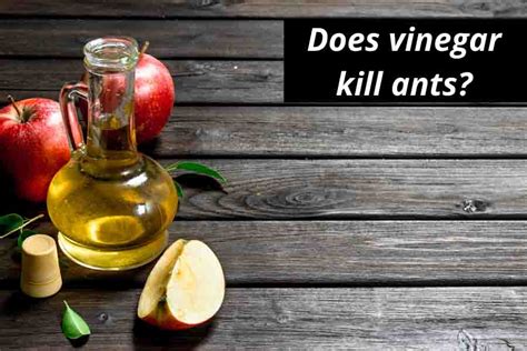Does vinegar kill germs? It isn't the best disinfectant for viruses