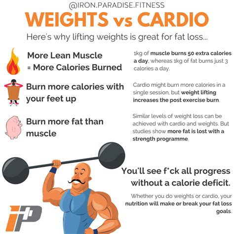 Dr Oen Blog How Many Calories Do You Burn Lifting Weights