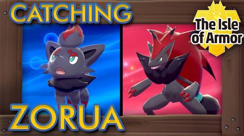 Zorua Pokémon Evolution, Weakness, Moveset, Stats, And More!